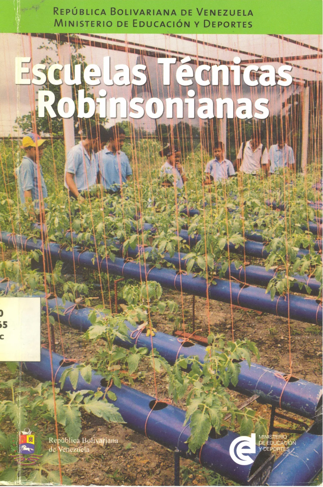 Escuelas técnicas Robinsonianas